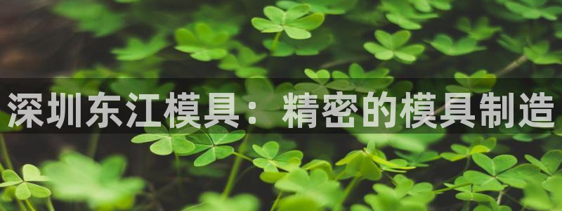 古天乐太阳集团网址：深圳东江模具：精密的模具制造