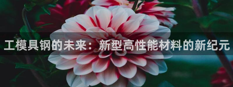 太阳集团官网：工模具钢的未来：新型高性能材料的新纪元
