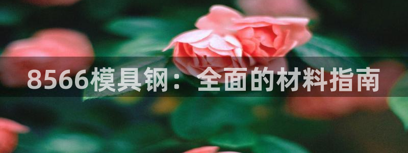 太阳集团电子游戏有限公司：8566模具钢：全面的材料指南