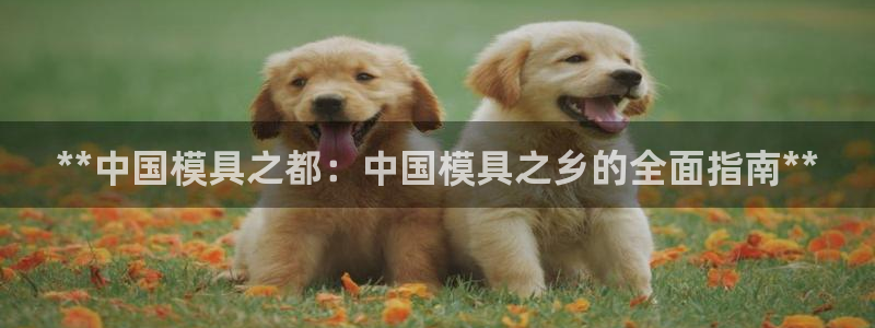 太阳集团城官网：**中国模具之都：中国模具之乡的全面指南**