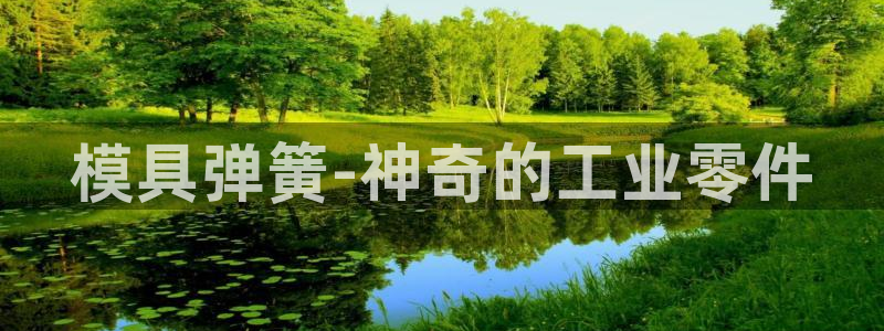 太阳成集团tyc234cc振兴：模具弹簧-神奇的工业零件