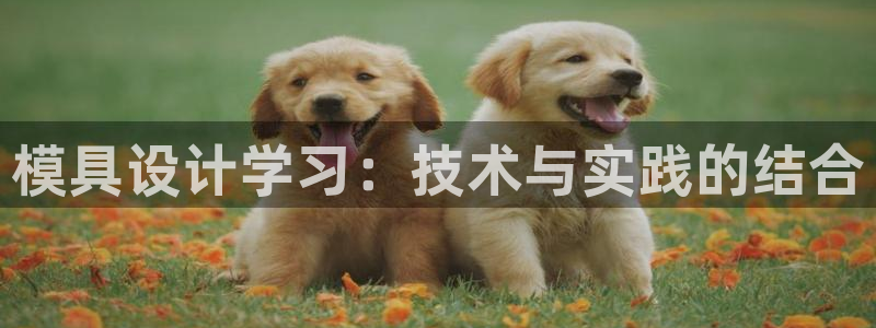 太阳集团城网站2017：模具设计学习：技术与实践的结合
