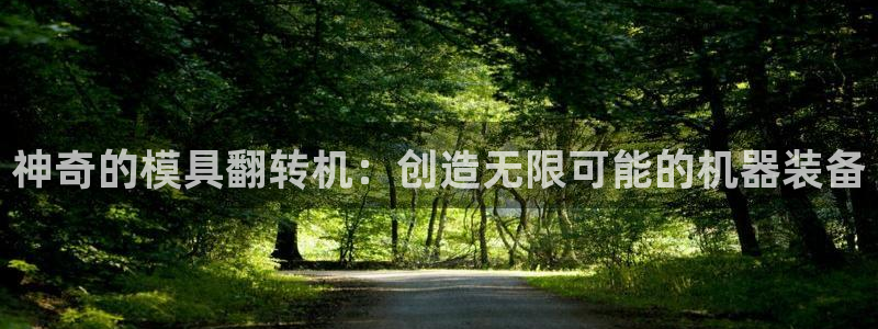 太阳集团1383：神奇的模具翻转机：创造无限可能的机器装备