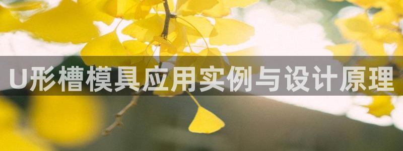 太阳集团城网站2：U形槽模具应用实例与设计原理