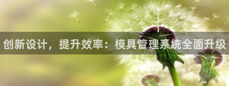 太阳集团所有网址168：创新设计，提升效率：模具管理系统全面升级