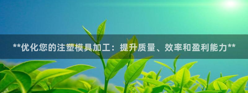太阳成集团com：**优化您的注塑模具加工：提升质量、效率和盈利能力**