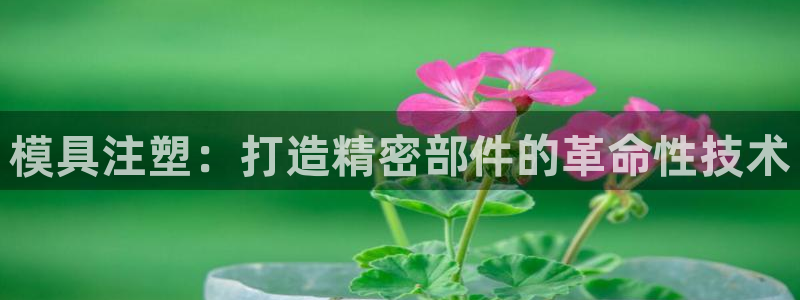 太阳集团股东：模具注塑：打造精密部件的革命性技术