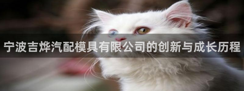 太阳集团电子游戏老板：宁波吉烨汽配模具有限公司的创新与成长历程