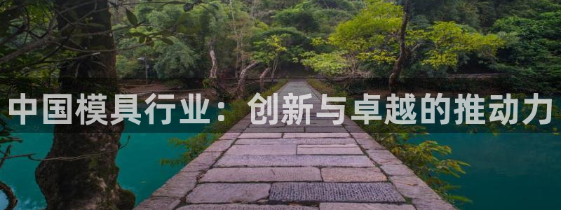 太阳诚集团电影：中国模具行业：创新与卓越的推动力