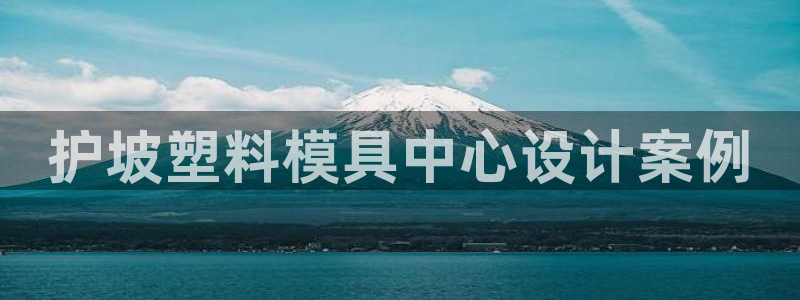 太阳成集团的官方网站：护坡塑料模具中心设计案例