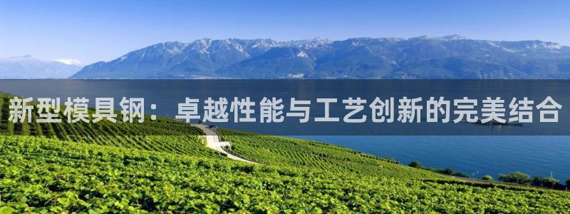 太阳股份有限公司：新型模具钢：卓越性能与工艺创新的完美结合