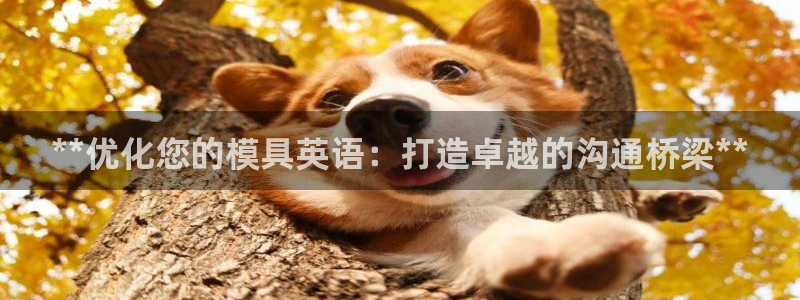 太阳集团城所有网址：**优化您的模具英语：打造卓越的沟通桥梁**