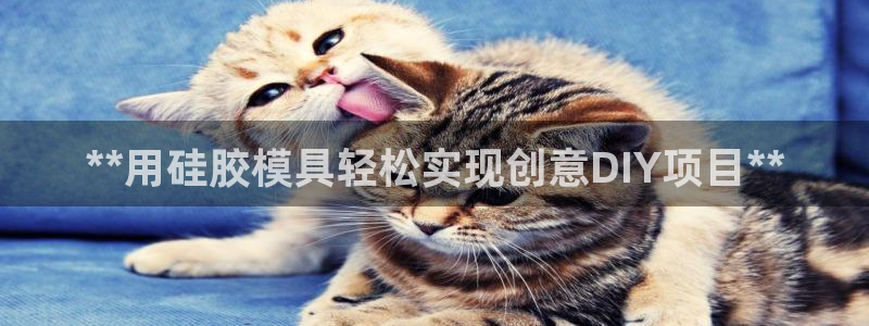 太阳集团的老总是谁：**用硅胶模具轻松实现创意DIY项目**
