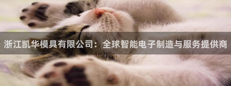 太阳成集团tyc33455cc官网：浙江凯华模具有限公司：全球智能电子制造与服务提供商