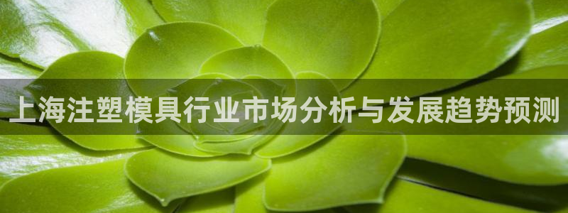 太阳gg平台登陆：上海注塑模具行业市场分析与发展趋势预测