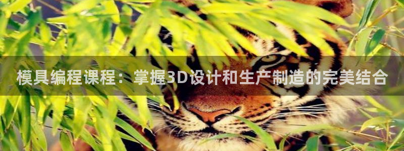 太阳集团城安卓版游戏：模具编程课程：掌握3D设计和生产制造的完美结合