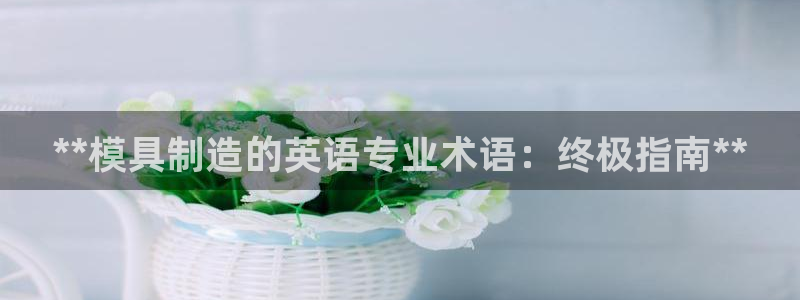古天乐只有太阳能黑他：**模具制造的英语专业术语：终极指南**