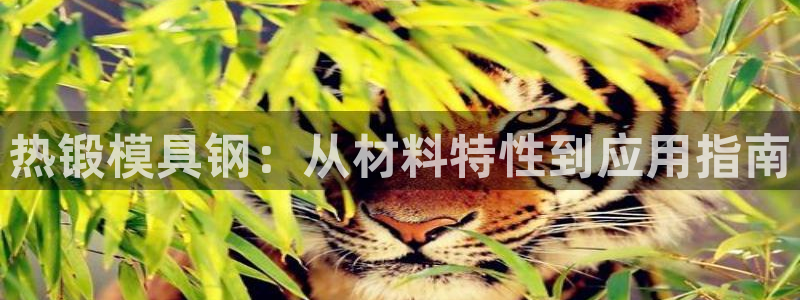 太阳2平台app下载：热锻模具钢：从材料特性到应用指南