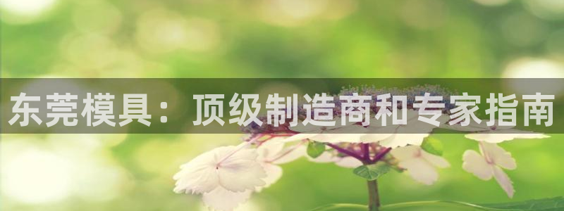 太阳集团1383：东莞模具：顶级制造商和专家指南