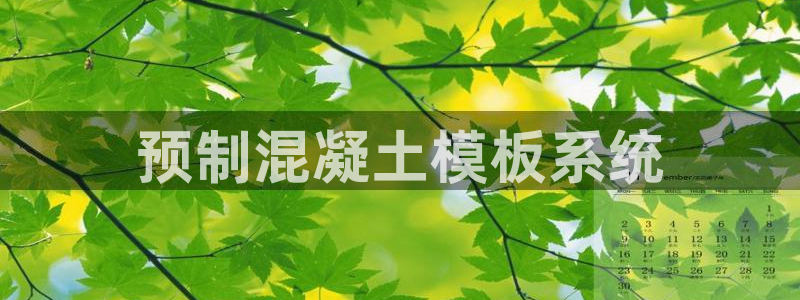 太阳集团城网站2007：预制混凝土模板系统