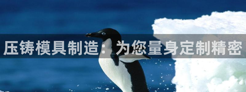 太阳诚集团有限公司有多少人：压铸模具制造：为您量身定制精密
