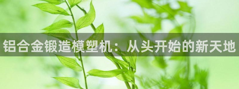 太阳集团是什么公司旗下的：铝合金锻造模塑机：从头开始的新天地