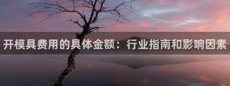 太阳集团董事长是谁：开模具费用的具体金额：行业指南和影响因素
