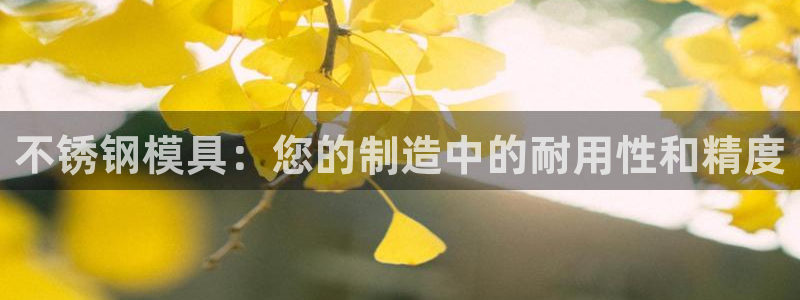 太阳成集团下载：不锈钢模具：您的制造中的耐用性和精度