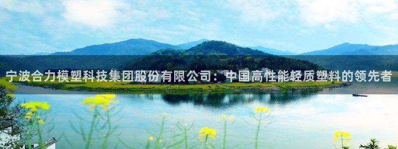 太阳集团8027：宁波合力模塑科技集团股份有限公司：中国高性能轻质塑料的领先者