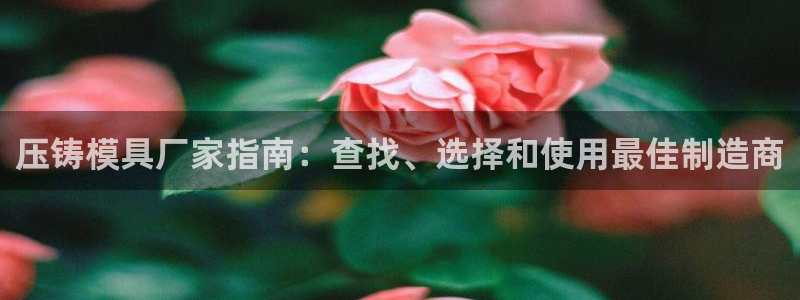 2003网站太阳集团：压铸模具厂家指南：查找、选择和使用最佳制造商