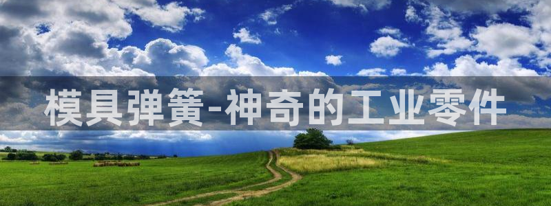 太阳集团城2017网站：模具弹簧-神奇的工业零件