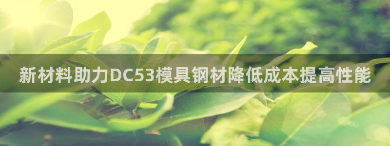 太阳股份有限公司：新材料助力DC53模具钢材降低成本提高性能