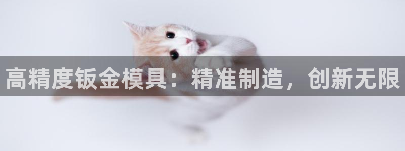太阳集团城网址娱网首页：高精度钣金模具：精准制造，创新无限