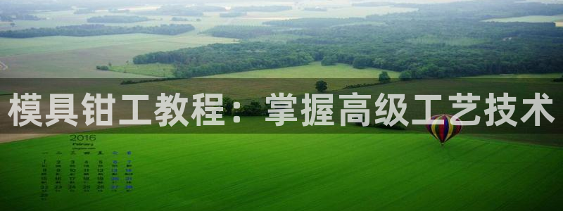 太阳成集团tyc234cc[主页]：模具钳工教程：掌握高级工艺技术
