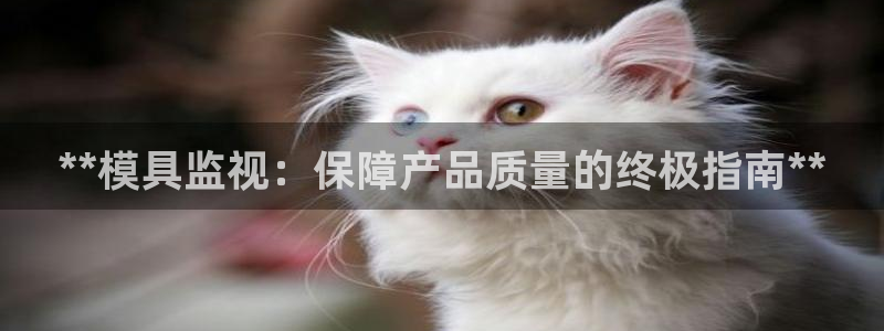 太阳地产集团：**模具监视：保障产品质量的终极指南**