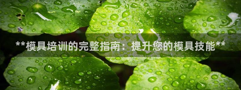 太阳集团网站多少：**模具培训的完整指南：提升您的模具技能**