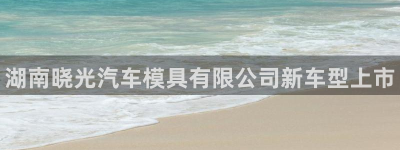 1593太阳集团城所有网址：湖南晓光汽车模具有限公司新车型上市