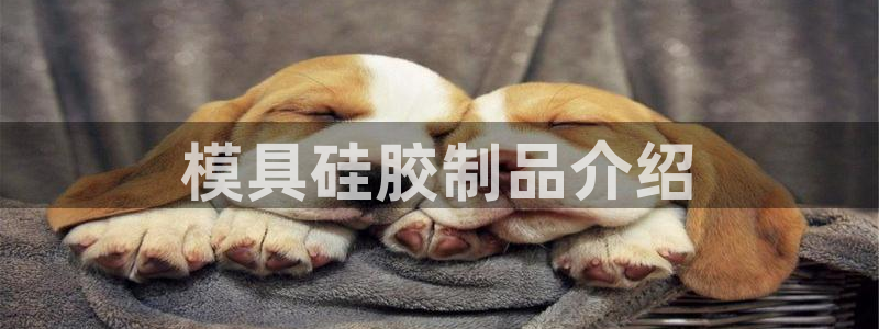太阳gg登陆测试：模具硅胶制品介绍