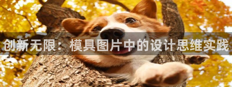 太阳gg注册平台页面：创新无限：模具图片中的设计思维实践