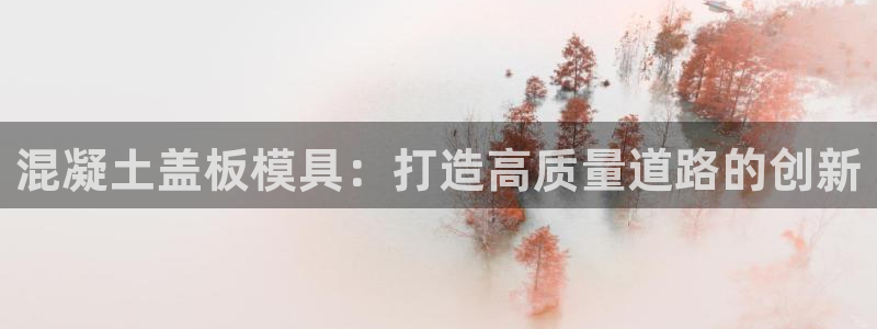 太阳gg官方网站：混凝土盖板模具：打造高质量道路的创新