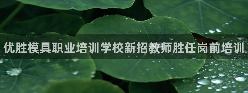 太阳集团下载链接：优胜模具职业培训学校新招教师胜任岗前培训