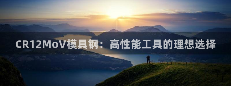 太阳集团是什么电视剧：CR12MoV模具钢：高性能工具的理想选择