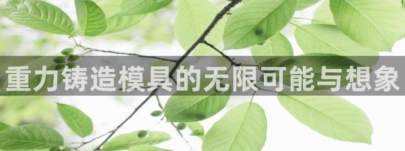 太阳成集团网址