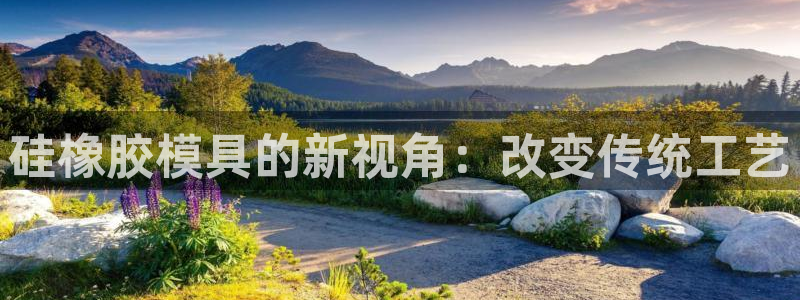 太阳诚集团在线：硅橡胶模具的新视角：改变传统工艺
