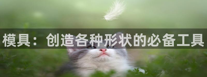太阳集团注册就送38：模具：创造各种形状的必备工具