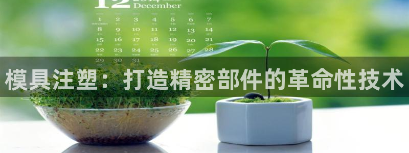 太阳集团娱乐官方网站入口：模具注塑：打造精密部件的革命性技术