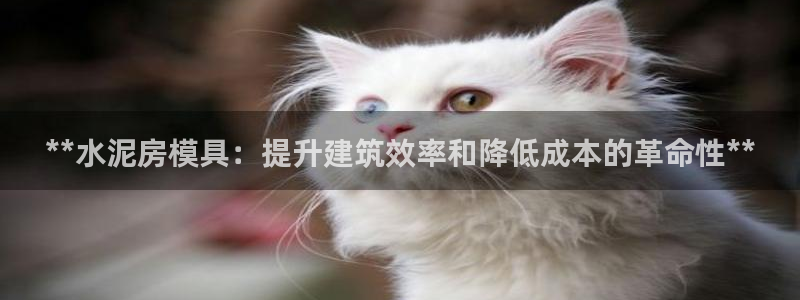 太阳集团怎么样：**水泥房模具：提升建筑效率和降低成本的革命性**