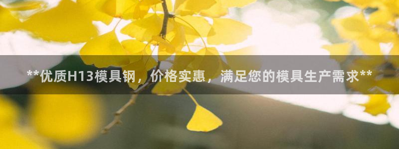 太阳集团城娱138：**优质H13模具钢，价格实惠，满足您的模具生产需求**