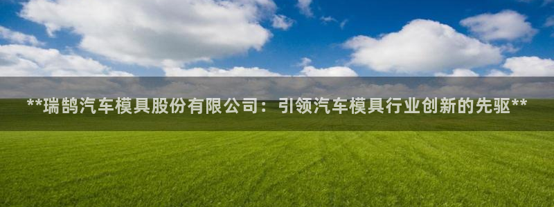 太阳集团游戏城旧版5376：**瑞鹄汽车模具股份有限公司：引领汽车模具行业创新的先驱**