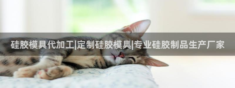太阳集团app十佳平台怎么样：硅胶模具代加工|定制硅胶模具|专业硅胶制品生产厂家